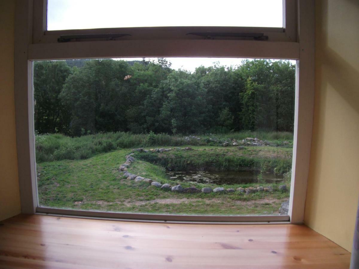 Bryn Cottage Llandderfel Exteriör bild